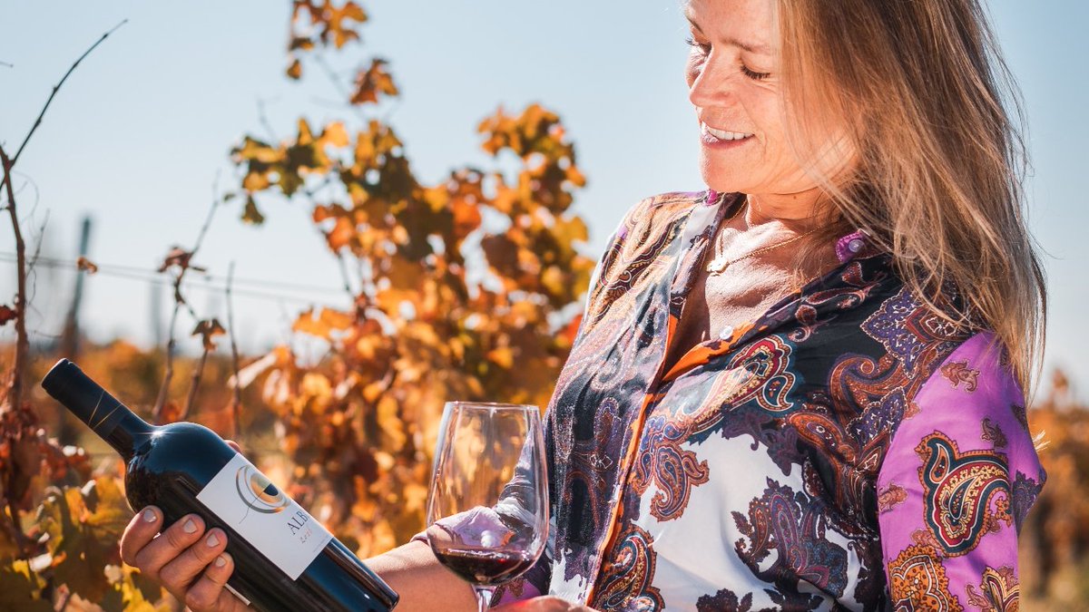 La experiencia de Albis | The Albis experience  #Albis #Redblend #Vinaharasdepirque #Organicwines