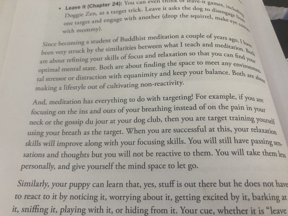 More on the dog training as teaching the dog to meditate thesis. I find the framing of concentration meditation as a targeting behavior interesting.  https://twitter.com/diviacaroline/status/1197026069255032832?s=21