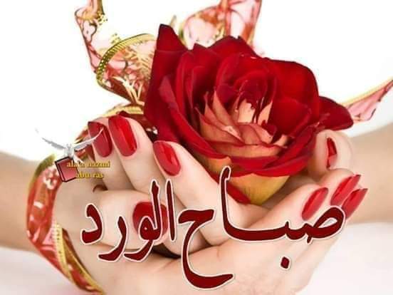 ابو احمد tweet media