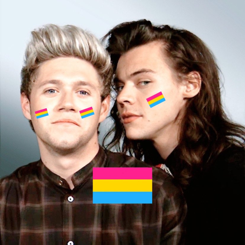 niall and harry as the pansexual flag; a thread