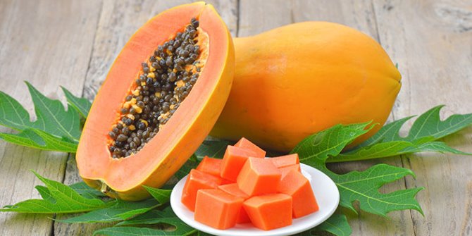 jasmerahnet's tweet photo. Manfaat Buah Pepaya Bagi Kesehatan Tubuh Anda

https://t.co/wPONcZjcly

#JasMerah #Kesehatan #KesehatanTubuh #BuahPepaya https://t.co/wOxqKVstqn