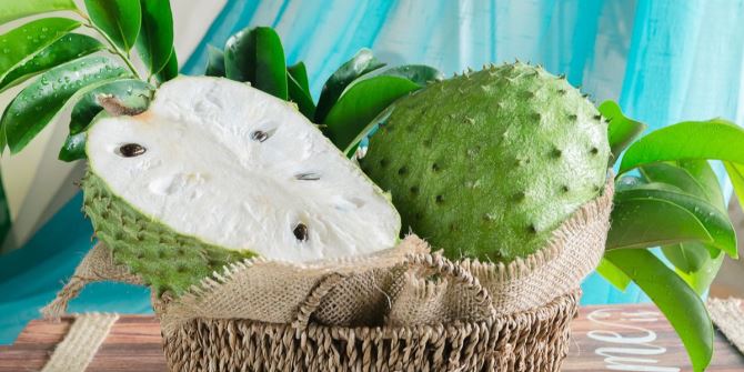 jasmerahnet's tweet photo. Manfaat Buah Sirsak Bagi Kesehatan yang Perlu Anda Ketahui

https://t.co/sD2oz19yMG

#JasMerah #Kesehatan #ManfaatSirsak #BuahSirsak https://t.co/gLDTjEosuQ