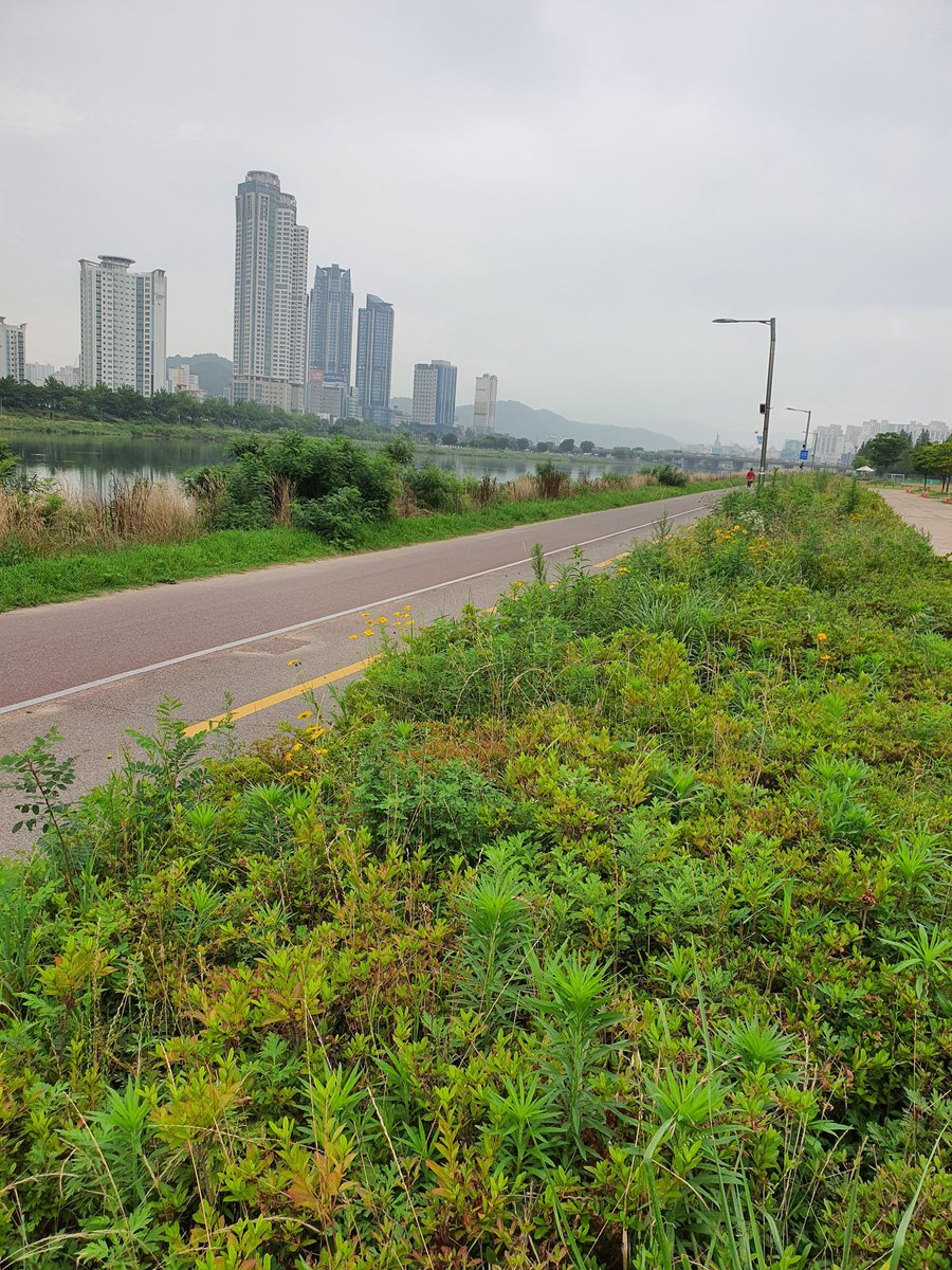 韓国風景 韓国風景