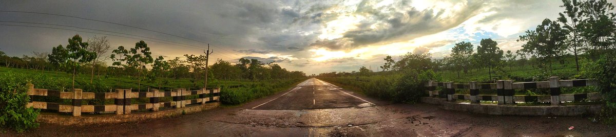 Panoramic drive . . Assam! #mynortheastclix #assam #NorthEast  #everydayNEIndia  #photographer  #morningmotivation  #mobilephotography  #drive #teagarden  #roads #clouds