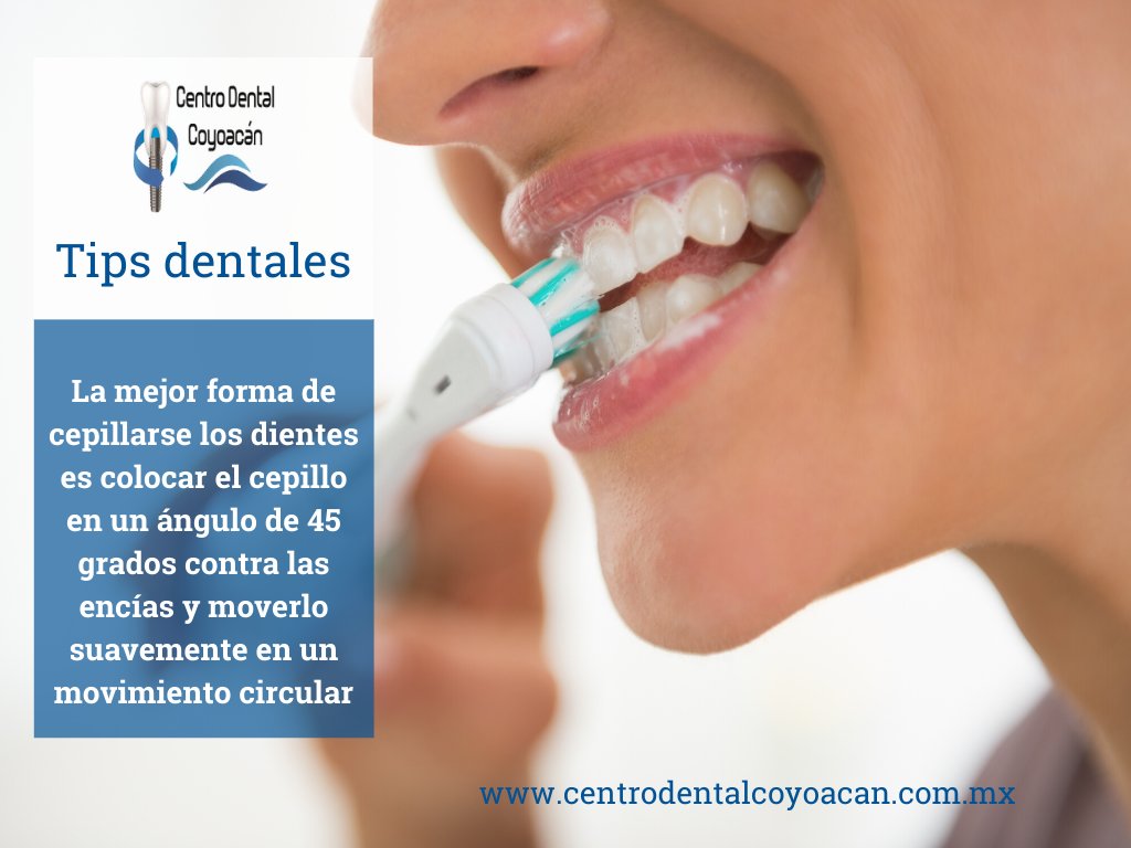 cuidatusonrisa1's tweet photo. #TipsDentales la mejor forma de cepillarse los dientes es colocar el cepillo en un ángulo de 45 grados contra las encías y moverlo suavemente en un movimiento circularhttps://www.centrodentalcoyoacan.com.mx/ https://t.co/RiFhmr8Z8J