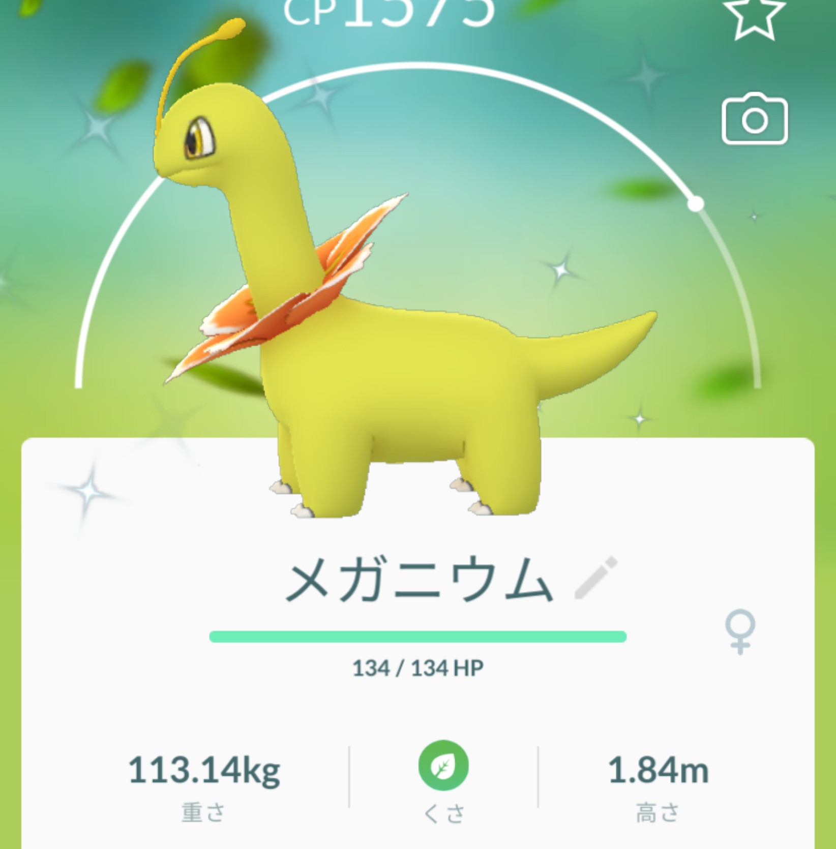 Mitsuki オブ Mitsuki チコリータの色違い3匹目なので メガニウム迄進化させたよ 色違いポケモン チコリータ ベイリーフ メガニウム ポケモンgo T Co G0oenmxe Twitter