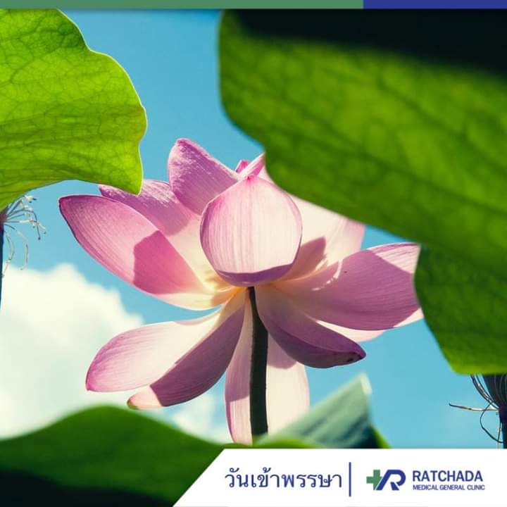 RmgcClinic's tweet photo. วันเข้าพรรษา 2563 ตรงกับวันที่ 6 กรกฎาคม 2563

 ซึ่งการเข้าพรรษาตามปกติจะเริ่มนับตั้งแต่วันแรม 1 ค่ำ เดือน 8 ของทุกปี (หรือเดือน 8 หลัง ถ้ามีเดือน 8 สองหน) และจะสิ้นสุดลงในวันขึ้น 15 ค่ำ เดือน 11 หรือวันออกพรรษา

#วันเข้าพรรษา #รัชดาเมดิคอล https://t.co/wNylhLBW9m