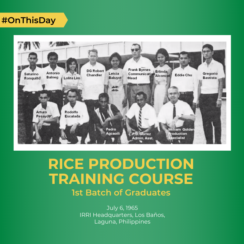 irrieducation's tweet photo. #Throwback #OnThisDay July 1965 marks the first batch of the Rice Production Training Course ever delivered by IRRI.
Visit our website to know more: https://t.co/yxCPTsjspg.
#IRRI #Training #AgricultureTraining #RiceResearch #RiceProduction #ShortCourses #CustomizedCourse https://t.co/HOpZf7H70k