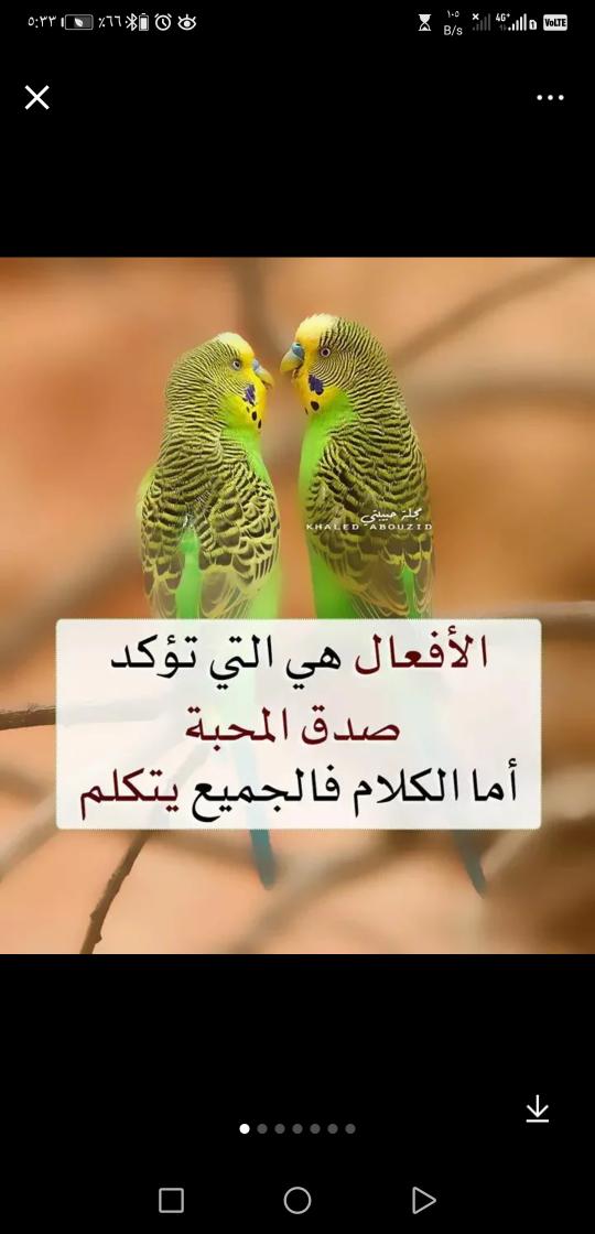 صباح النور والسرور على الجميع