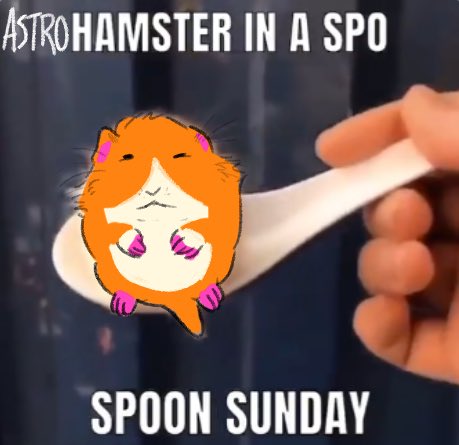 ASTROHAMSTER's tweet photo. HAPPY ASTROHAMSTER IN A SPOON SUNDAY

(art by @/bahamasunsets) https://t.co/5DDLohwv6b