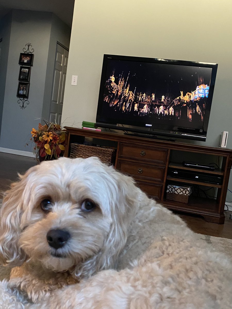 disneydognemo's tweet photo. watching hamilton with mary! โญ๏ธ #hamildog https://t.co/5kWXRkmkOU