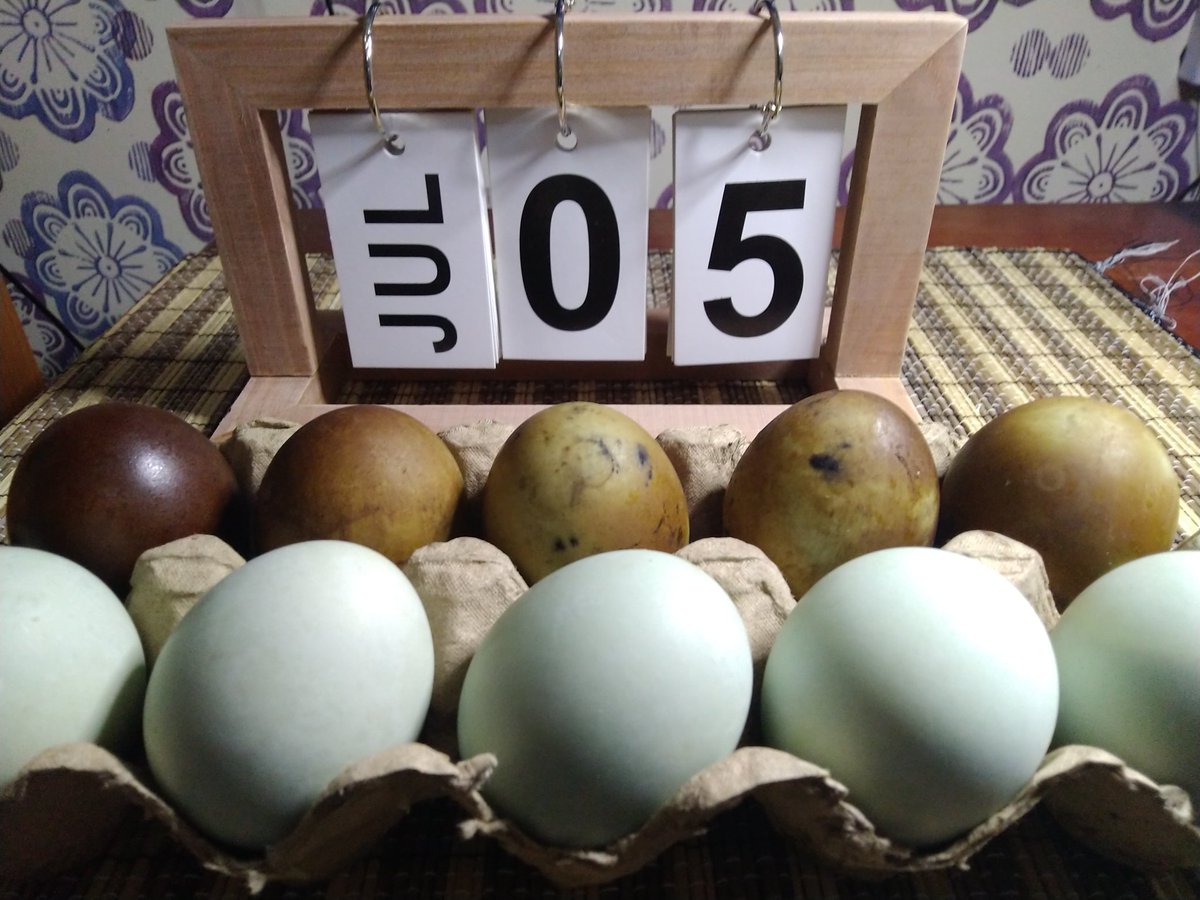 Hendras_1981's tweet image. Selain telur asin standard, ternyata tersedia juga telur asin custom alias telur asin bakar. 

Rasanya tidak terlalu asin, tapi lebih gurih dan ada aroma khas dari proses pengolahannya (dibakar).

Made by Cah Brebes #Optimasitwitter