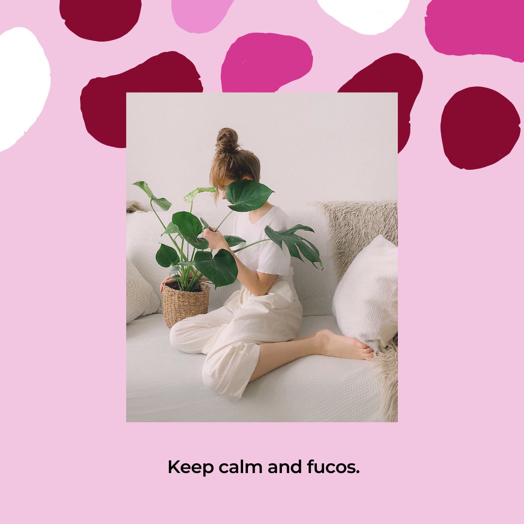 LenisylT's tweet photo. Better things are coming. Keep calm &amp; fucos. #becalm #befucos #beproductive #workfromhome #virtualassistant #freelancer https://t.co/1w1RBamsQz