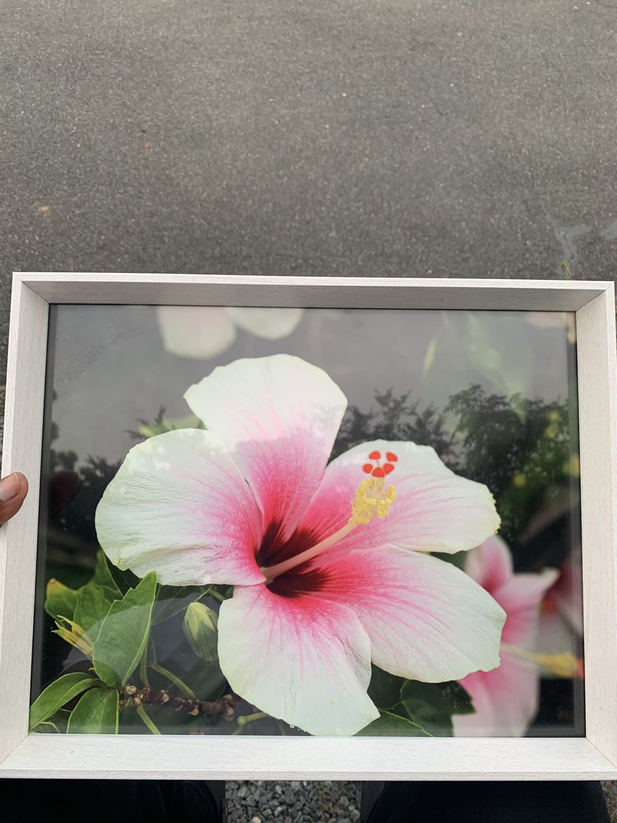 crzywthacanon's tweet photo. I will be selling prints from now on. Any picture that I have taken will now be available to be purchased. The size of prints are not limited to the ones in these pictures, but I wanted to give an example of how they’ll come out.  If you are interested in placing an order, dm me! https://t.co/RlLwtUayE9