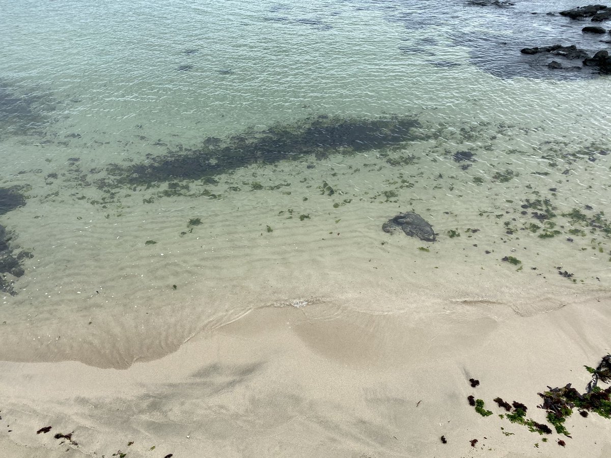 게으른 소나기 tweet media