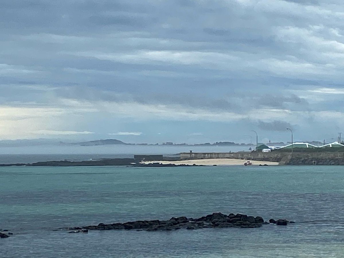 게으른 소나기 tweet media