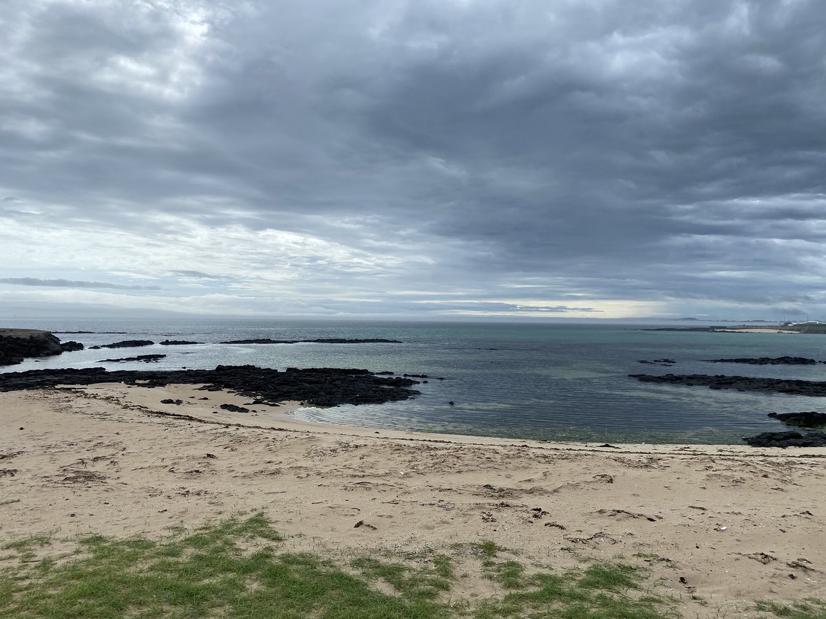 게으른 소나기 tweet media