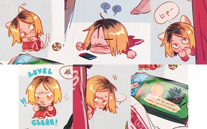 closeups of the small kenmas and the. switch screen skdksKSKKD 