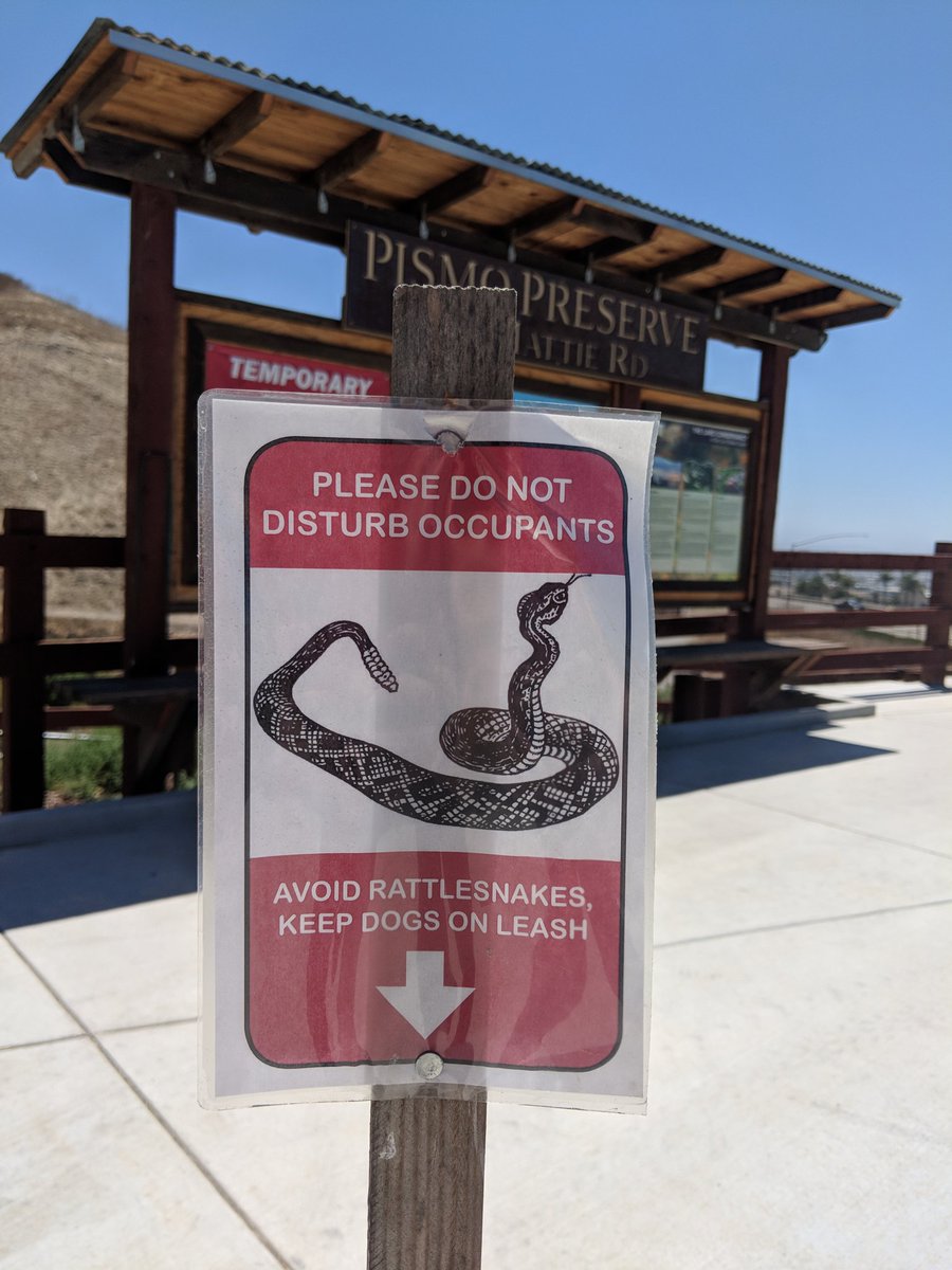 Central Coast Snake Services tweet media