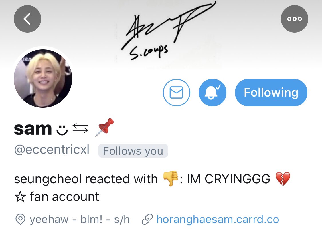  @eccentricxl last doesnt rlly match ur layout but that's the soft vibe i get from u