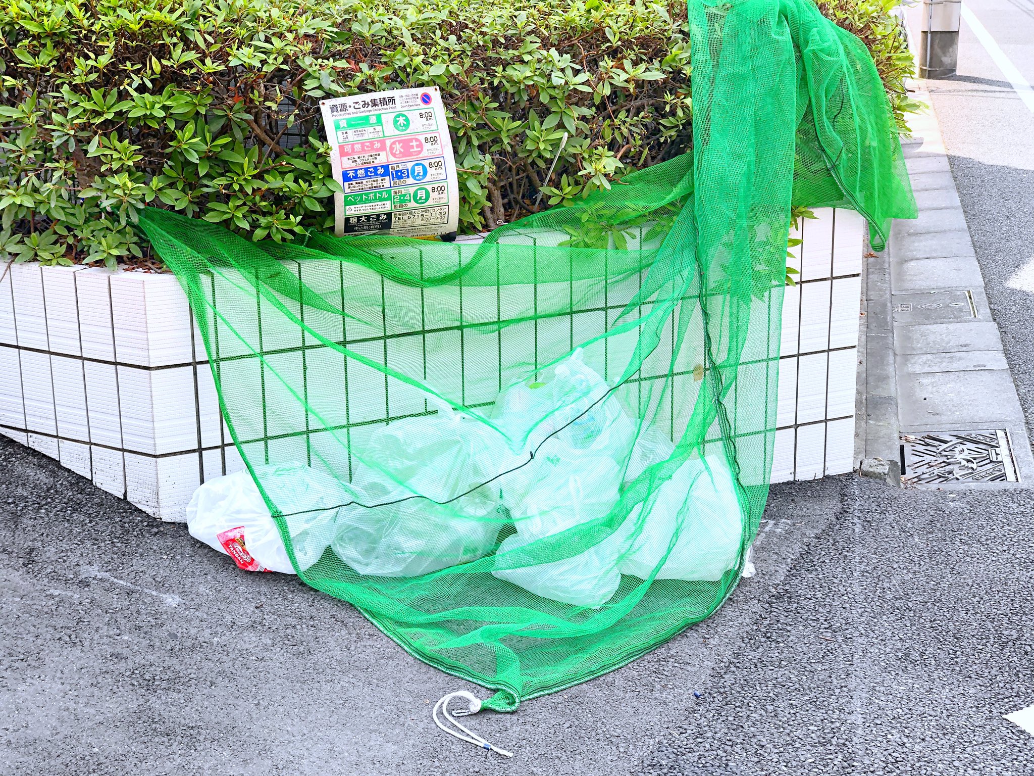 ぁぃぁぃ きっと 緑って エモい T Co Qrdg2kd7nv Twitter