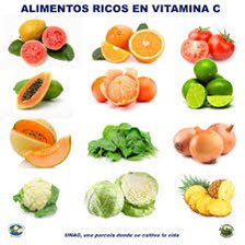 NancyMartinezA's tweet photo. #COVID__19 
Alimentos que refuerzan nuestro sistema inmunológico:
-Ajo,estimula el sistema inmunológico
-Prebióticos:En granos integrales,plátanos,verduras,cebollas,ajo,soya,alcachofas
-Vitamina C: naranja,brócoli,kiwi,melón.
-Antioxidantes:frutas,zanahorias,espinacas
#COVIDー19 https://t.co/umol0n05sM