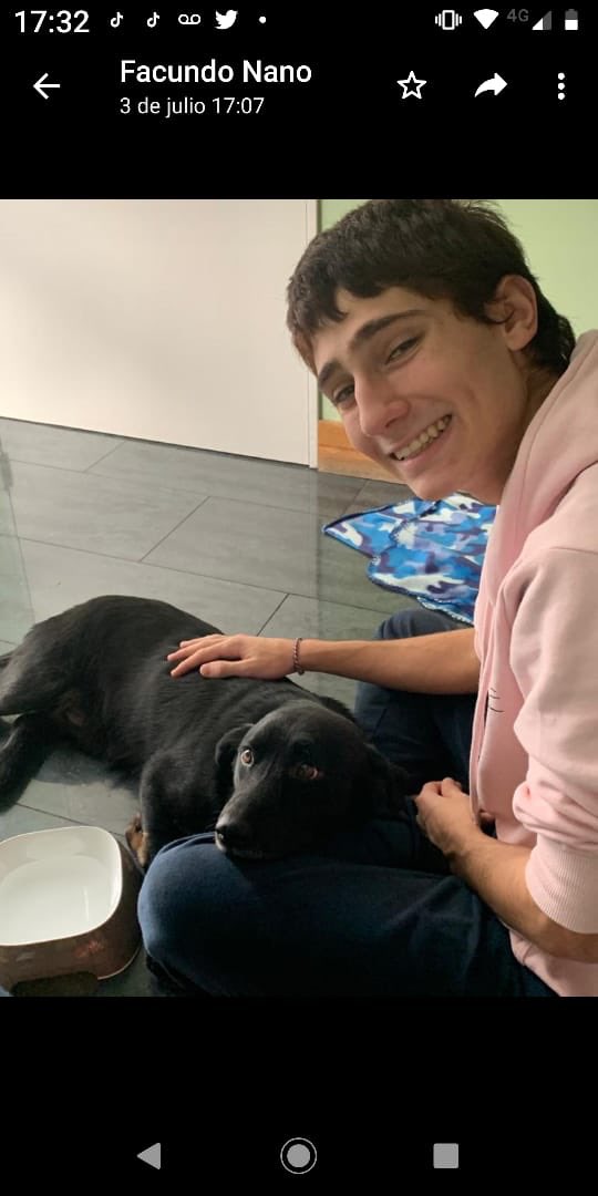 Amor de Perro 🐶 tweet media