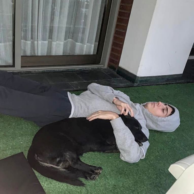 Amor de Perro 🐶 tweet media