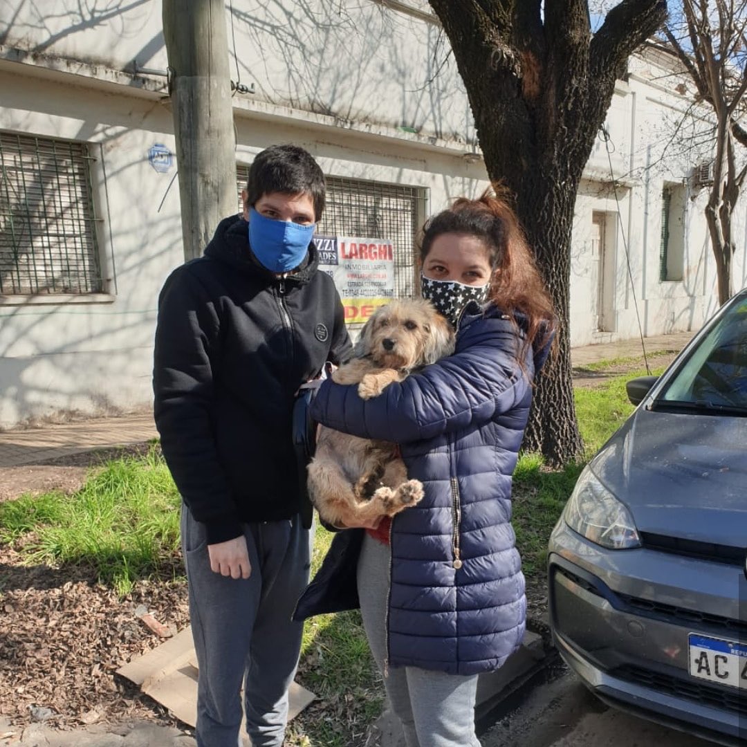 Amor de Perro 🐶 tweet media