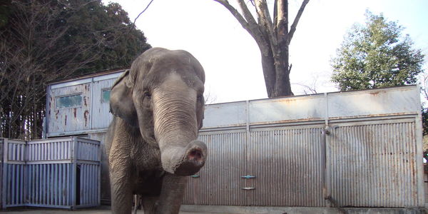 One Million Vegans tweet media