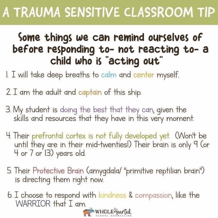 molmeyer's tweet image. 