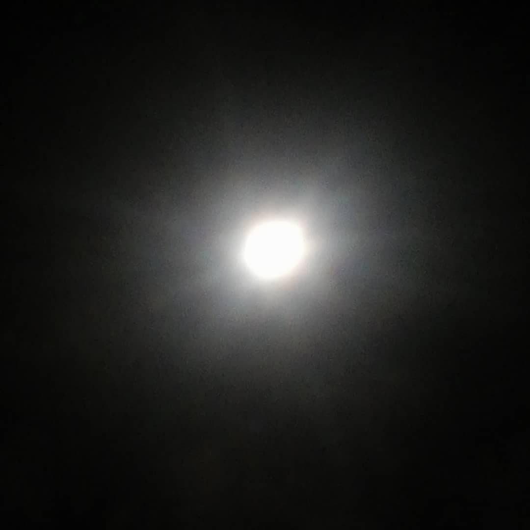 Aquele beijo que te dei
Nunca, nunca mais esquecerei
A noite linda de luar
Lua testemunha tão vulgar. 🎵🎵
#luacheia
#lualinda