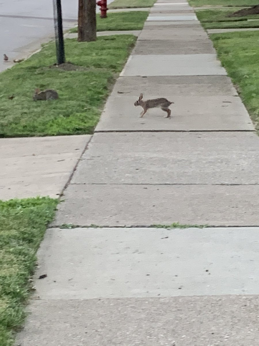 JeanRizi's tweet photo. 30 minutes of walking does the mind good. #grateful https://t.co/sPrFDnWBNu
