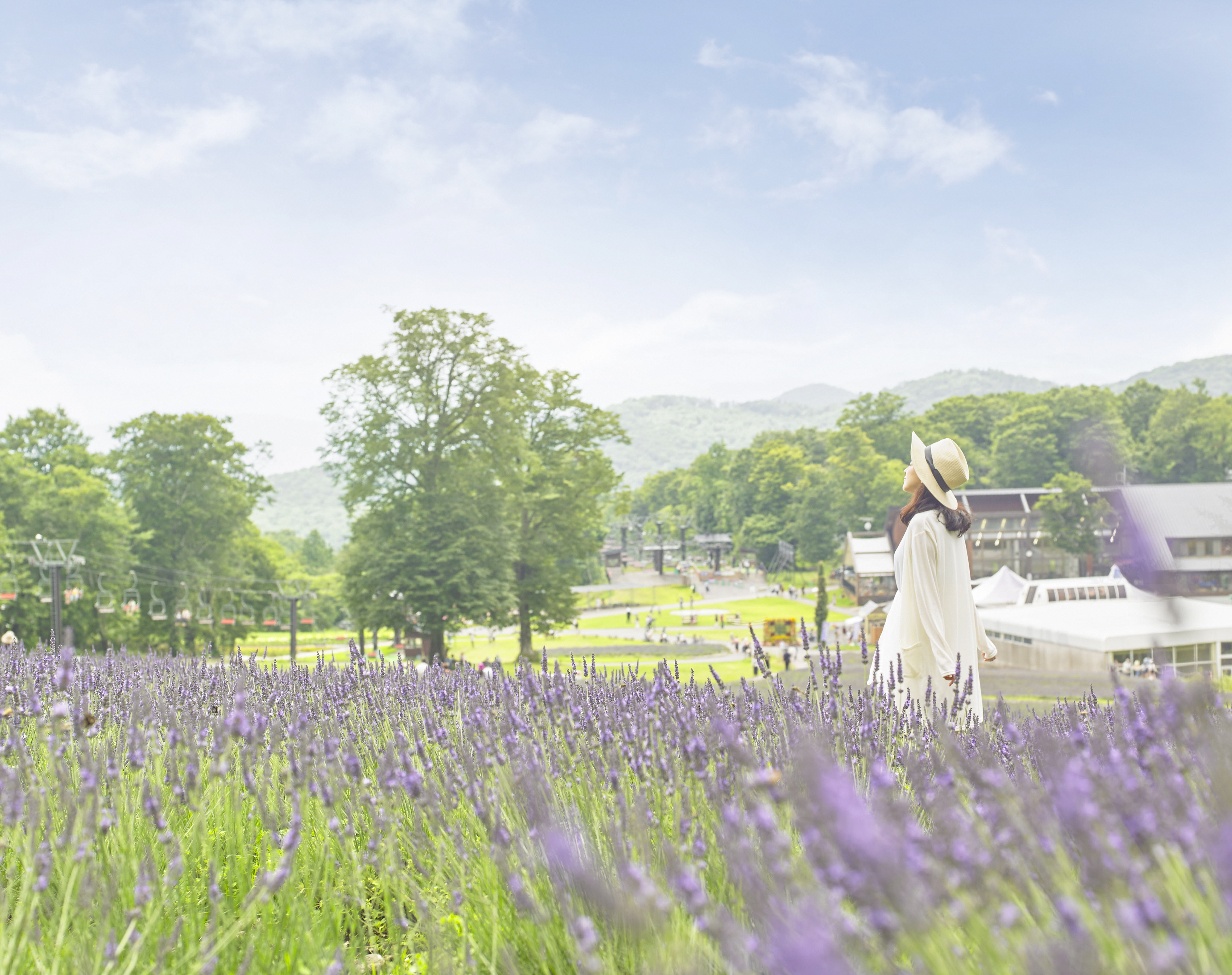 群馬県沼田市 たんばらラベンダーパークが 7月4日 土 より営業を開始しました 早咲きのラベンダー こいむらさき が咲き始め 今週末には 見頃になると思われます 約５万株が咲き揃う関東最大級のラベンダー畑をお楽しみください たんばら 沼田