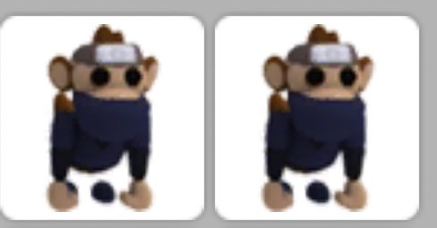 midnight_jnk's tweet image. Big Giveaway! 

Prize:
1st place:R Ninja Monkey 
2nd-3rd: Ninja Monkey! 

3 Winners! 

Rules: 
Follow me 💜 
Like and RT 💜 
Comment “done” 

ends when i hit 1.5k followers! 
goodluck!  💜 
#adoptme #adoptmegiveaways