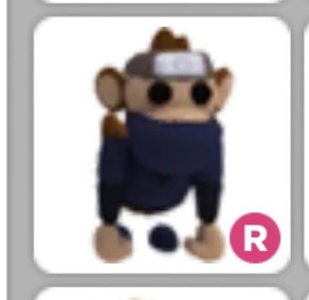 midnight_jnk's tweet image. Big Giveaway! 

Prize:
1st place:R Ninja Monkey 
2nd-3rd: Ninja Monkey! 

3 Winners! 

Rules: 
Follow me 💜 
Like and RT 💜 
Comment “done” 

ends when i hit 1.5k followers! 
goodluck!  💜 
#adoptme #adoptmegiveaways
