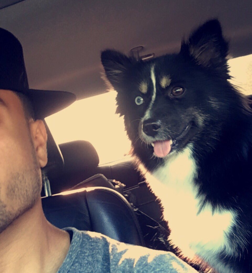 her name is Storm. Shes half Husky/half Pomeranian. she’s about to be 5. She a Virgo. We take selfies. My queen