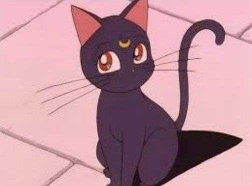Miya  as Luna (Sailor Moon):