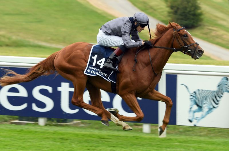 馬 Le Cheval♘♞ tweet media