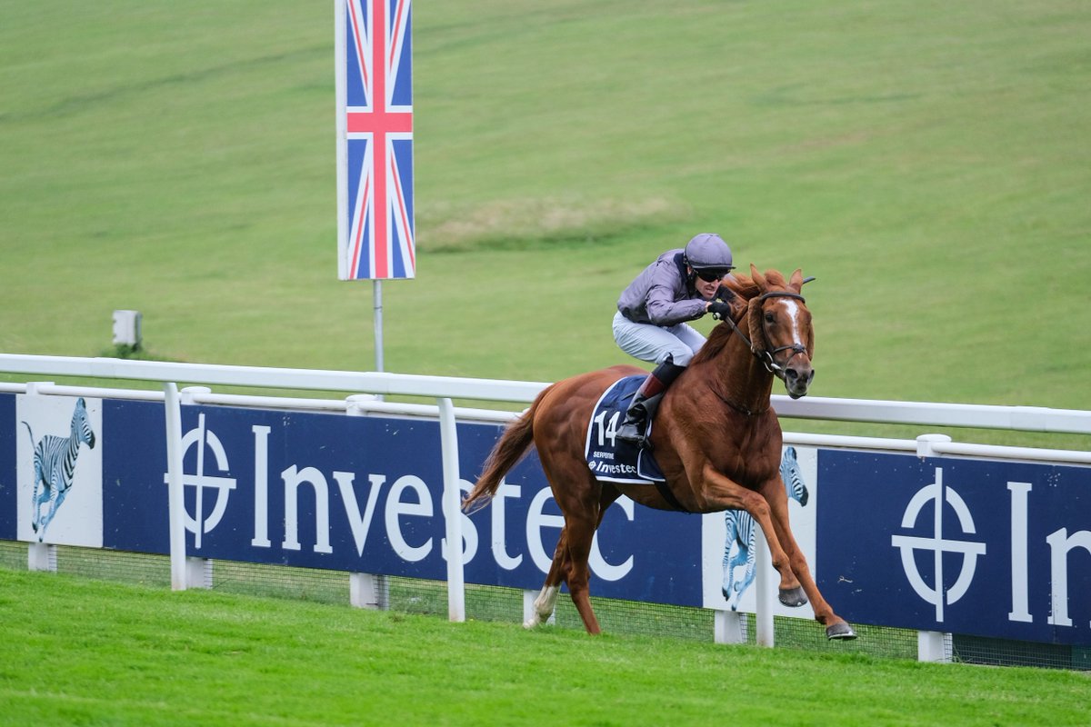 馬 Le Cheval♘♞ tweet media