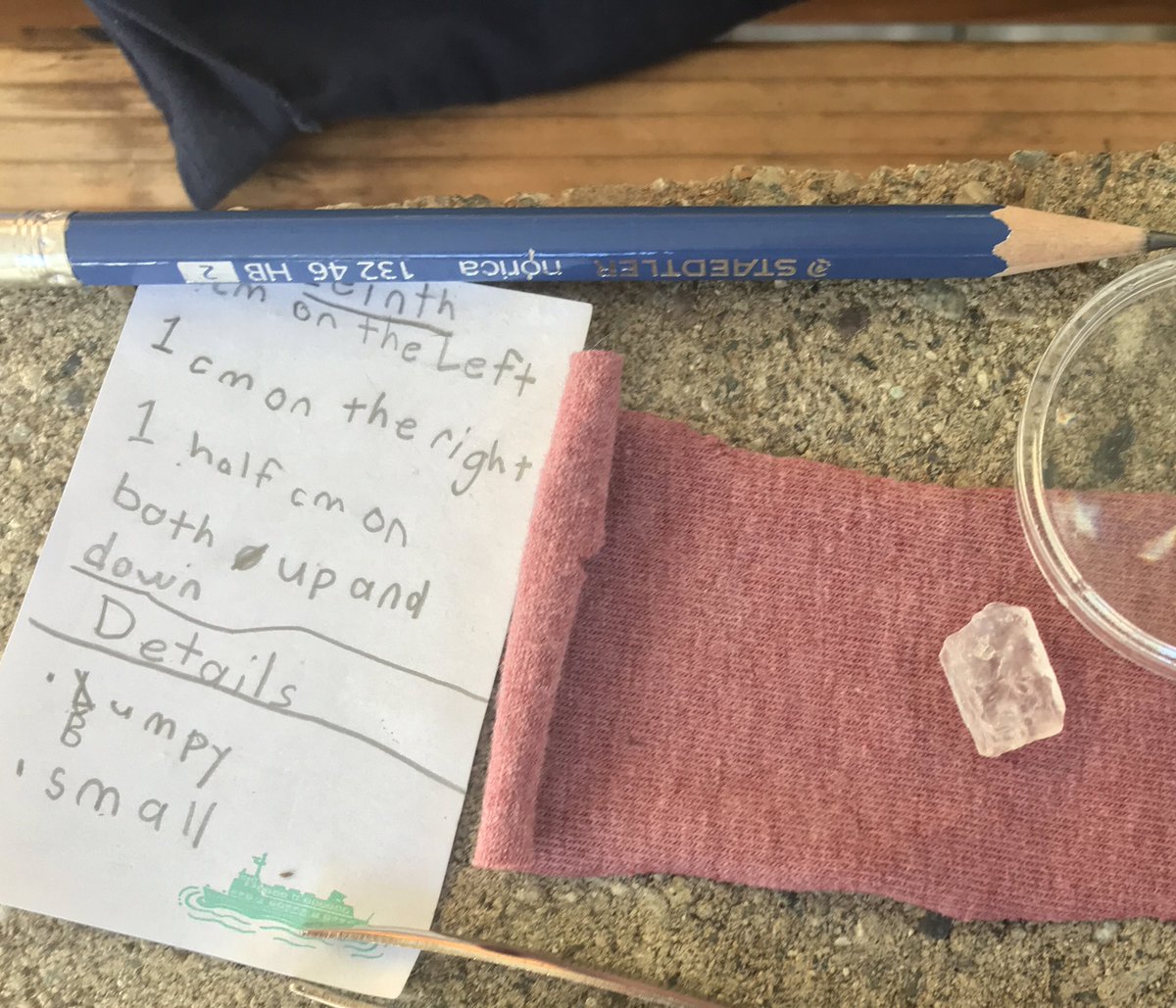 jm_muise's tweet photo. My 7 year old daughter called me out onto the deck to see her observations of a rock. #proudDad #buddinggeologist https://t.co/AqbbvnnWuA
