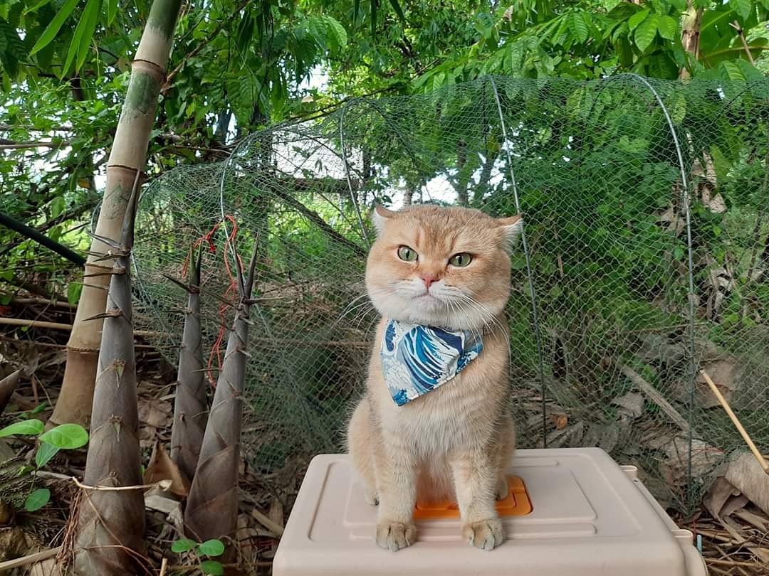 เอ็ดเวิร์ด tweet media