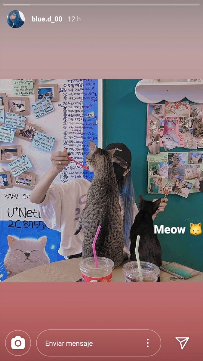 Queenblue_arg's tweet photo. 050720 | Actualización de instagram de Blue.D (@/blue.d_00)

"Meow 🐱" 

#BlueD #블루디 #JeonHoyeon https://t.co/8tbEMT8IgL