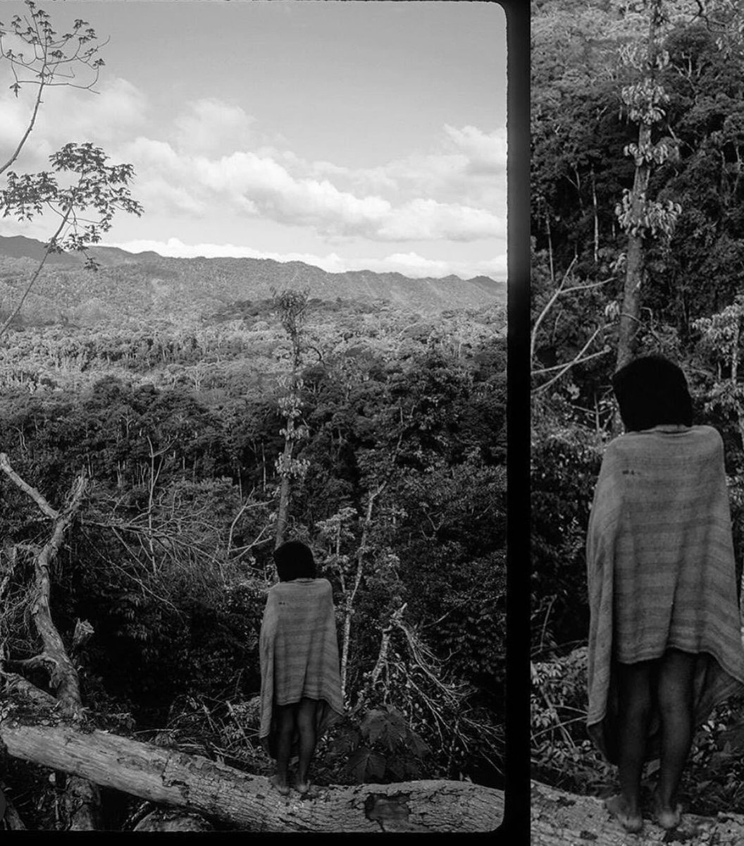 LMatneyGallery's tweet photo. Catching up with Glenn Shepard  Proceeds on all photographs benefit a community health and hygiene project, including vital Covid-19 prevention, in the same native communities where these photos were taken. https://t.co/BusTetEjoc
#contemporaryphotography #fundraiser #manupark https://t.co/760yh3Ec43