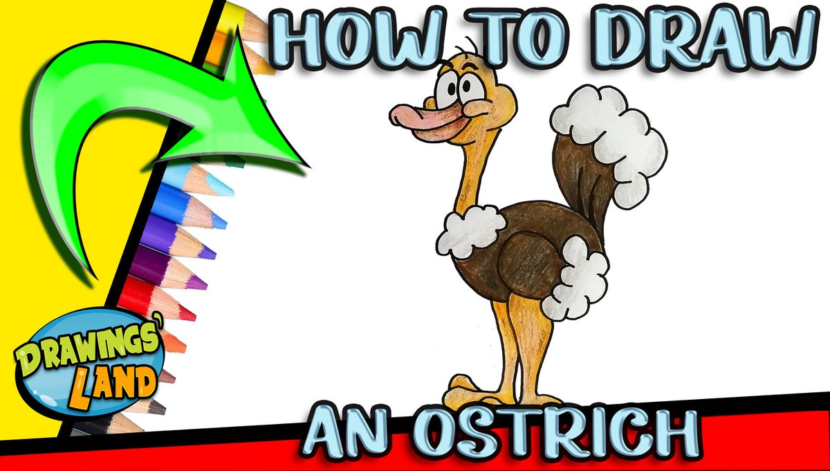 Drawings_Land's tweet photo. How to DRAW an OSTRICH Easy Step by Step https://t.co/jhgIfNXWFU via @YouTube 

#learntodraw #ostrich #cartoon #cuteanimals #animalart #howtodraw #artforkids #draw #easydrawing #art #drawingtutorial #drawing #kidsactivities #kids https://t.co/eJUWRHm58K