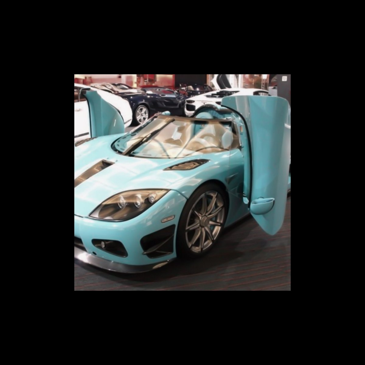 ㅤㅤㅤㅤ𝓘 𝗹𝗹𝗲𝗴𝗮𝗹 𝓡𝗮𝗰𝗲𝗿 ─┈ ՙ mч onlч 𝗟𝗢𝗩𝗘, αnd mч 𝗙𝗔𝗩𝗢𝗥𝗜𝗧𝗘.