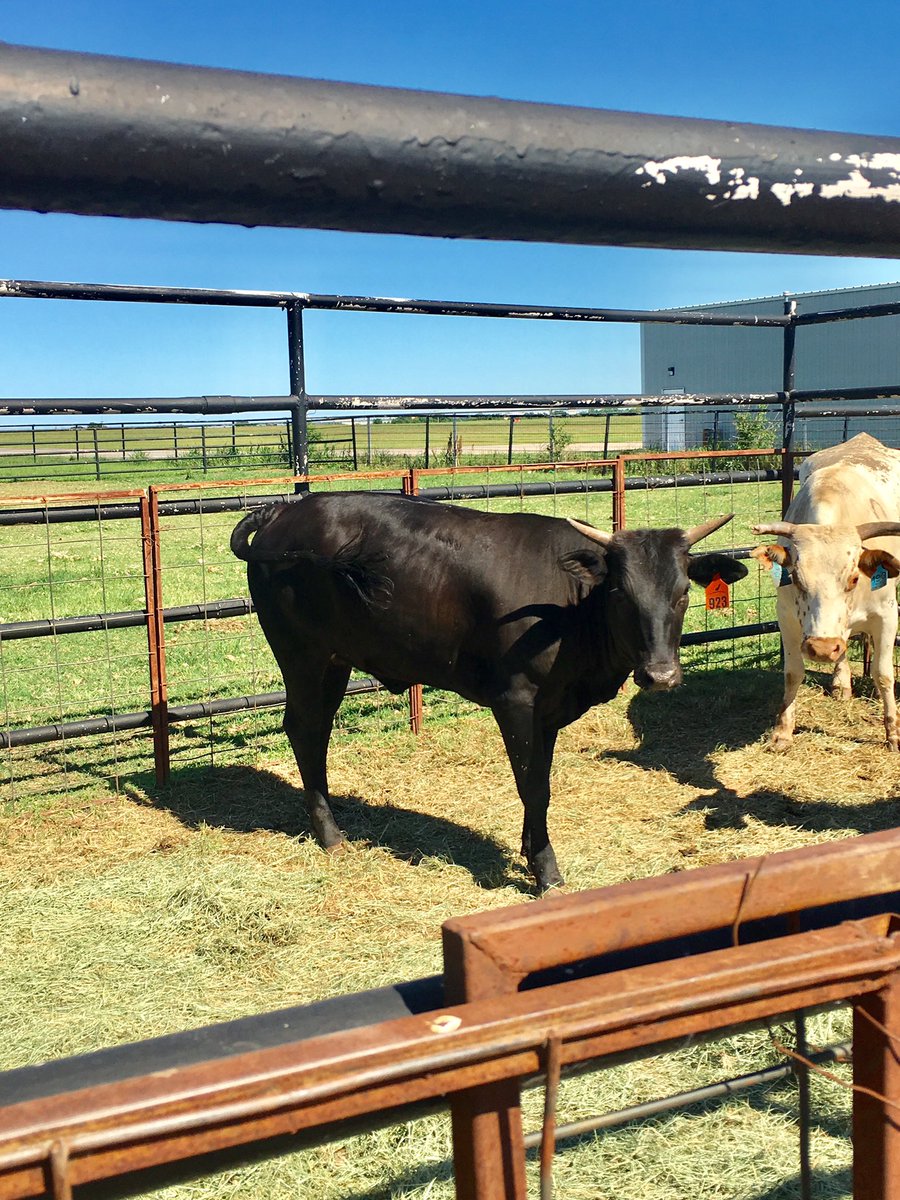 PBR WORLD™ tweet media