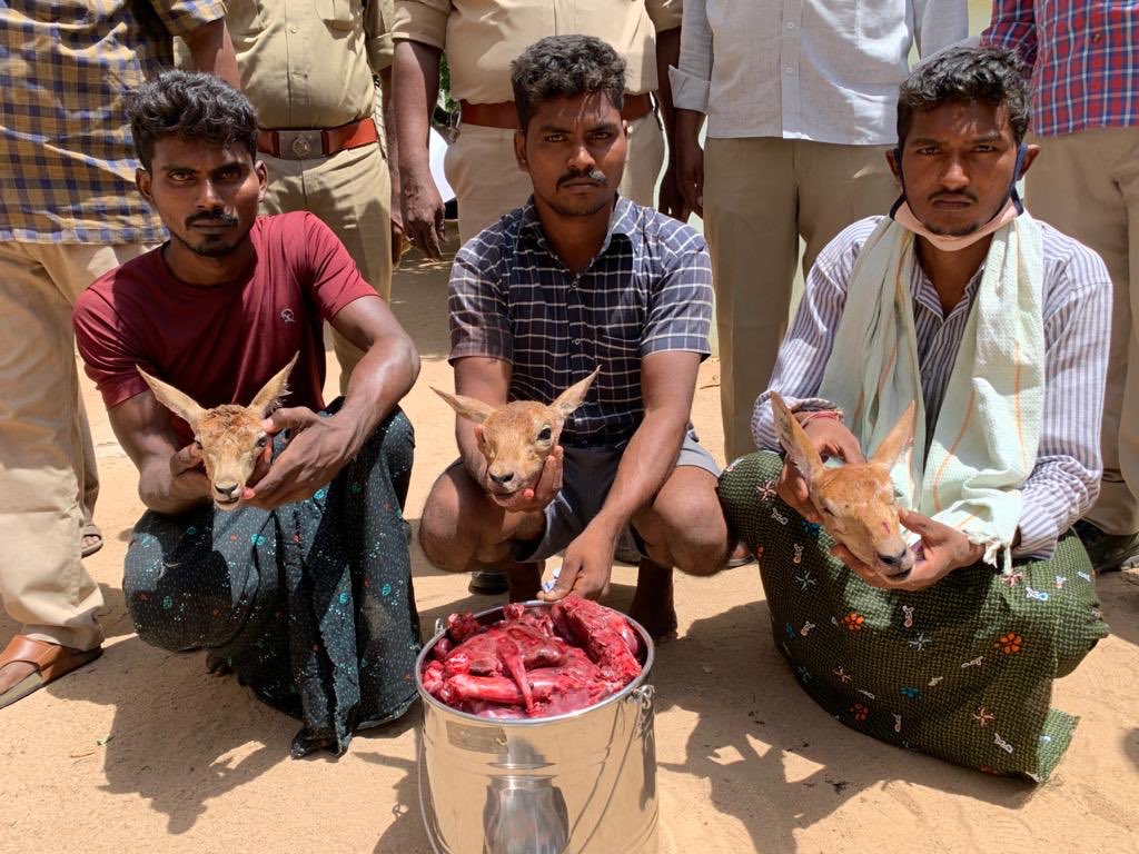 Jagan R IFS tweet media