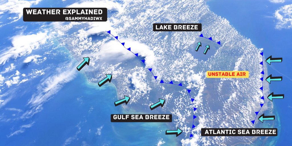 SammyHadiWx's tweet photo. View of the Sea-Breeze and Lake-Breeze over Florida from Space.
#WeatherExplainedWednesday https://t.co/bxuQAZ9b7t