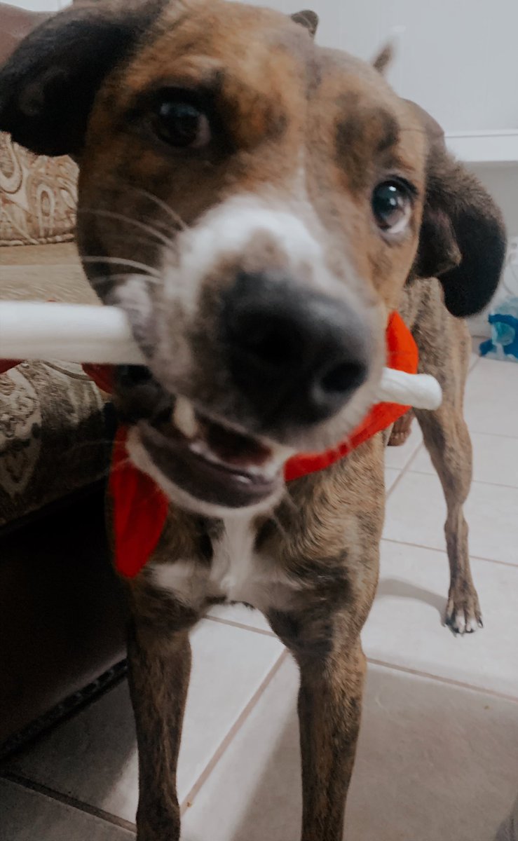 kkarmstrong15's tweet photo. “look at my bone” https://t.co/KJ1BRiO5Uz